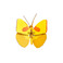 Roof Studio various yellow 1