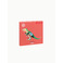 Roof Studio divers multicolor 2