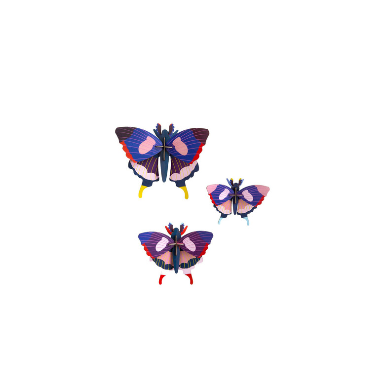 Roof Studio divers multicolor 1