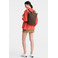 Longchamp rugzak brons 4