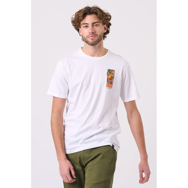 Antwrp t-shirts white 2