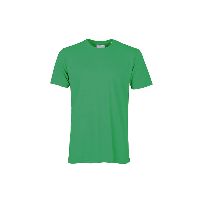 Colorful Standard t-shirts green