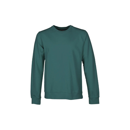 Colorful Standard sweater green