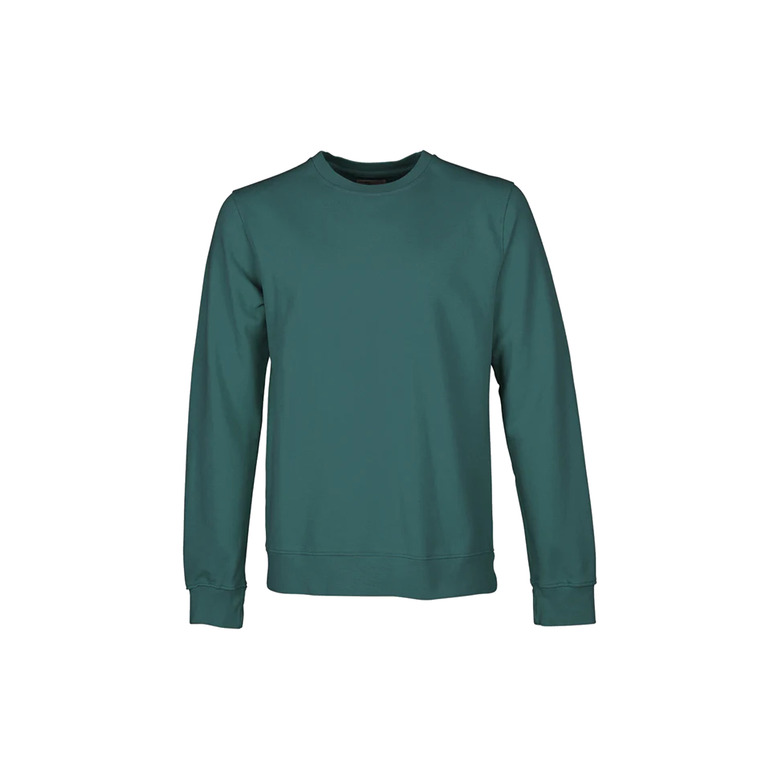 Colorful Standard sweater green