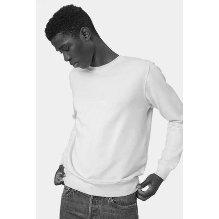 Colorful Standard sweater green