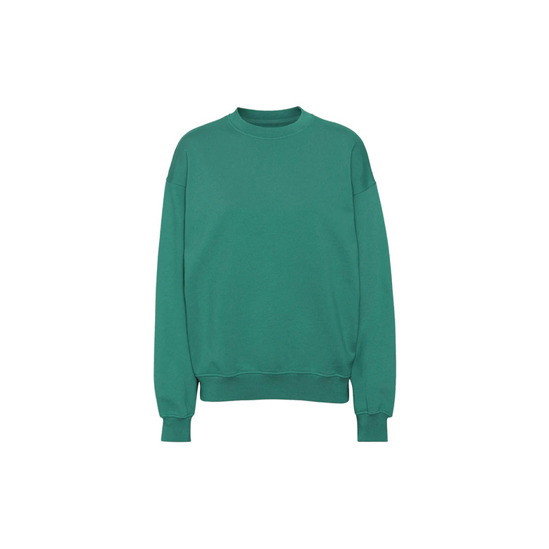 Colorful Standard sweater green