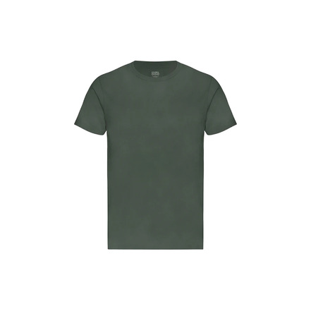 Colorful Standard t-shirts green