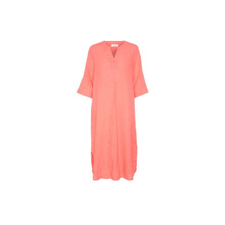 Cream robe rose