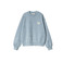 Carhartt Wip sweater bleu 1