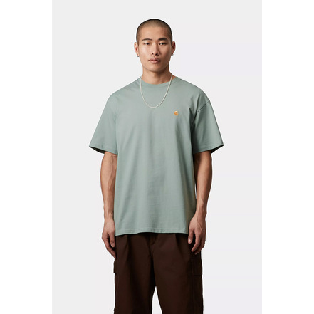Carhartt Wip t-shirts green
