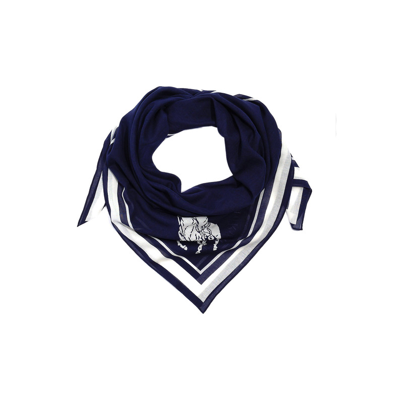 Ralph Lauren echarpe bleu