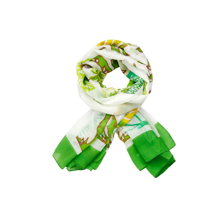 Les Cordes echarpe vert