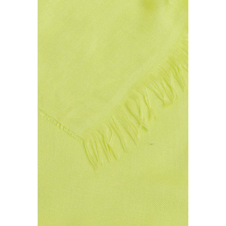 Xandres echarpe vert 2