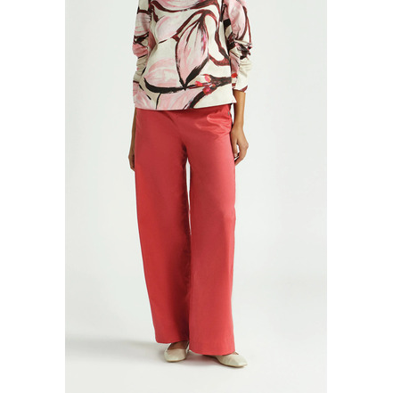 Xandres hose rot