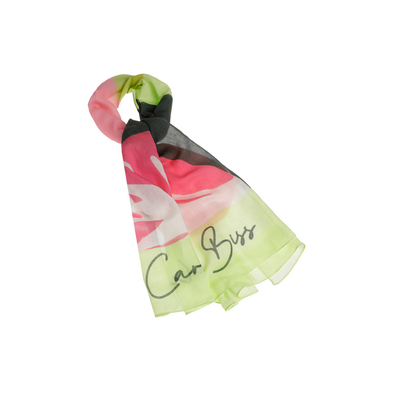 Caroline Biss echarpe multicolor 1