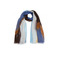 Caroline Biss scarf blue 1