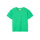 American Vintage t-shirt grÜn 1