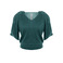 Dame Blanche trui groen 1