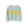 Bellerose sweater green 1