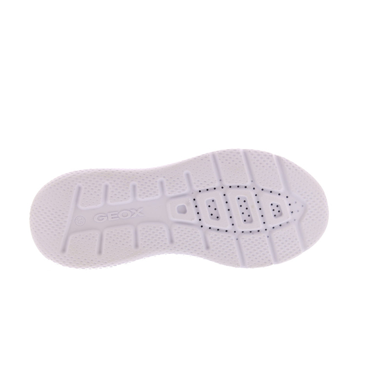 Geox low shoes blue 5