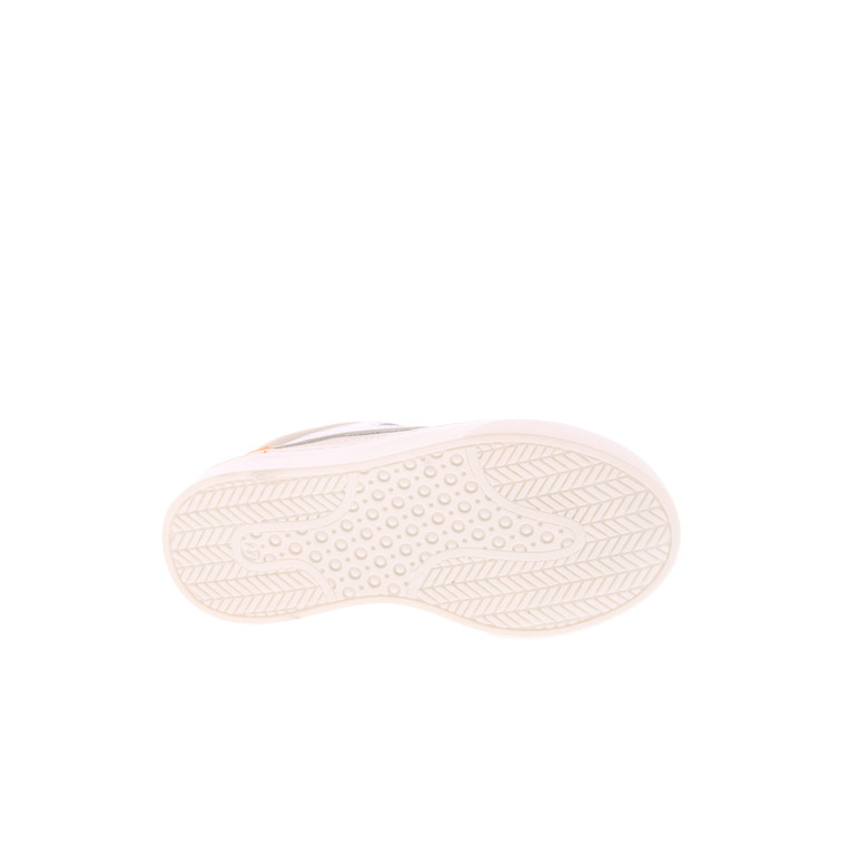 Poldino sneakers lightbrown 5