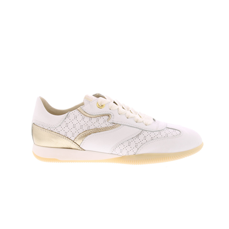 Dl Sport sneakers white