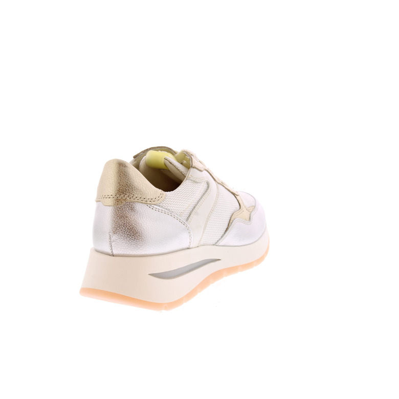 Dl Sport sneakers gold 4