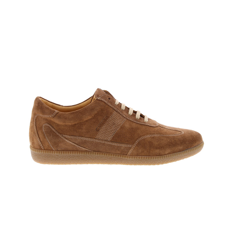 Ambiorix sneakers brown