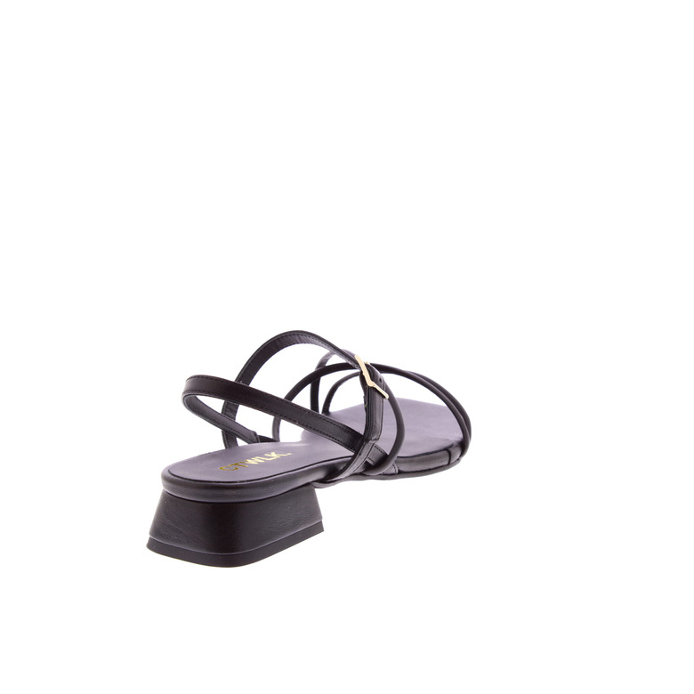 Ctwlk sandals black 4