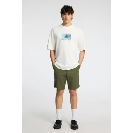 Selected Homme short grÜn