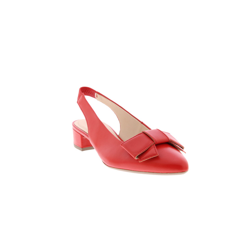 Gabor pumps rot 2