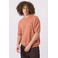 Antwrp pullover cognac 2