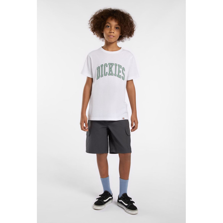 Dickies t-shirt blanc 2