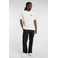 Dickies t-shirts ecru 2