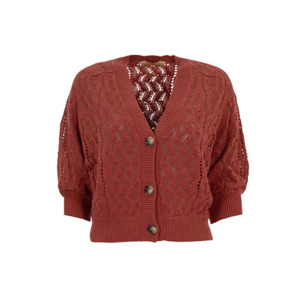 Vanessa Bruno cardigan roze