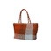 Allan K shopper multicolor 2