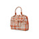 Allan K handbag multicolor 2