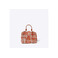 Allan K handbag multicolor 4