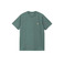 Carhartt Wip t-shirts green 1