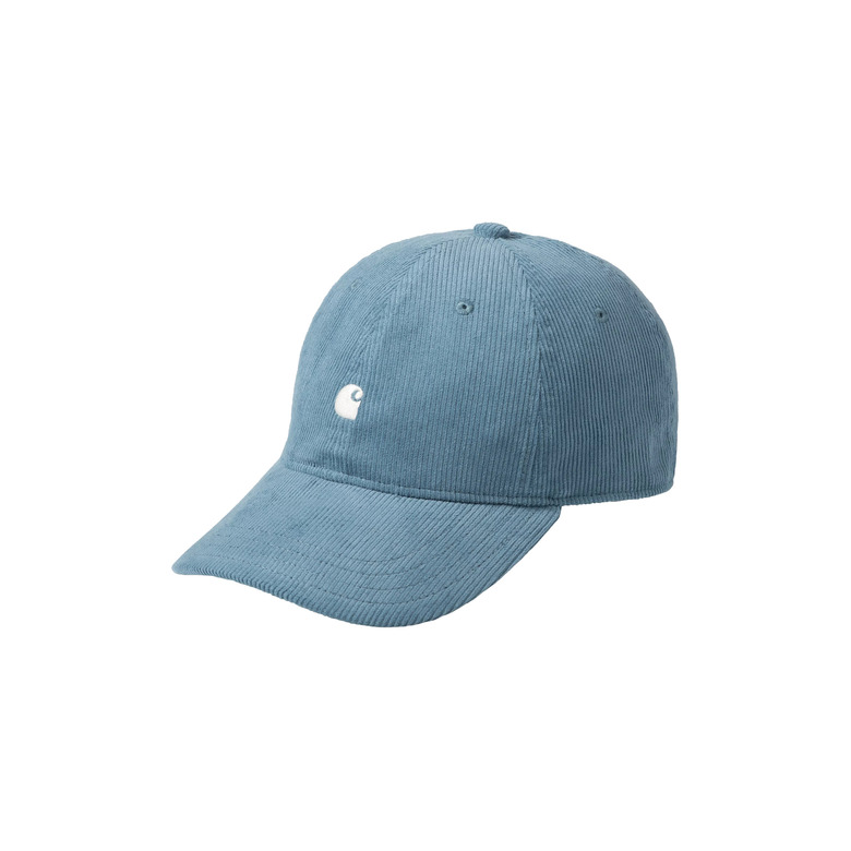 Carhartt Wip pet blauw 1
