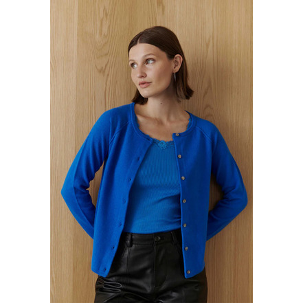 Rosemunde cardigan blauw