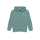 Element hoodie green 1