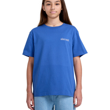Element t-shirts blue