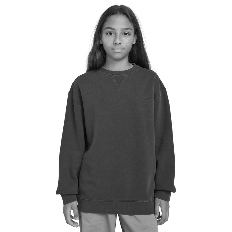 Element sweater blue 2
