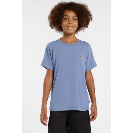 Dickies t-shirts blue
