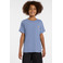 Dickies t-shirt bleu 2