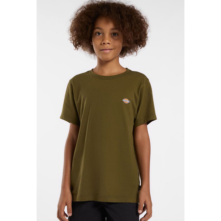 Dickies t-shirts green