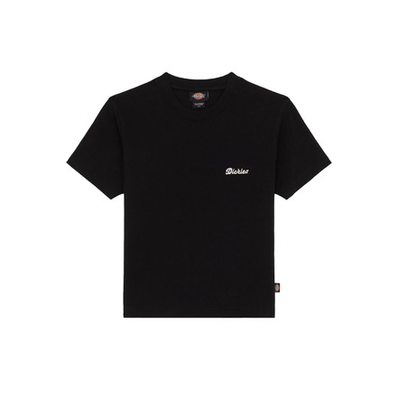 Dickies t-shirt zwart