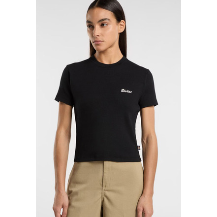 Dickies t-shirt zwart