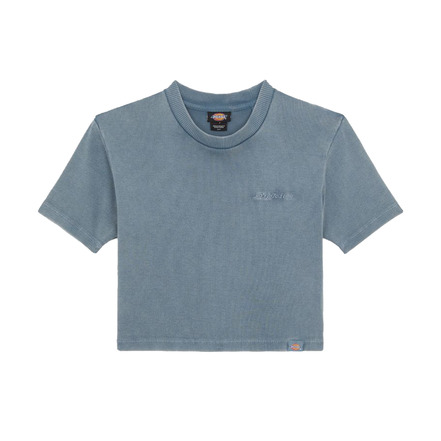 Dickies t-shirt grijs